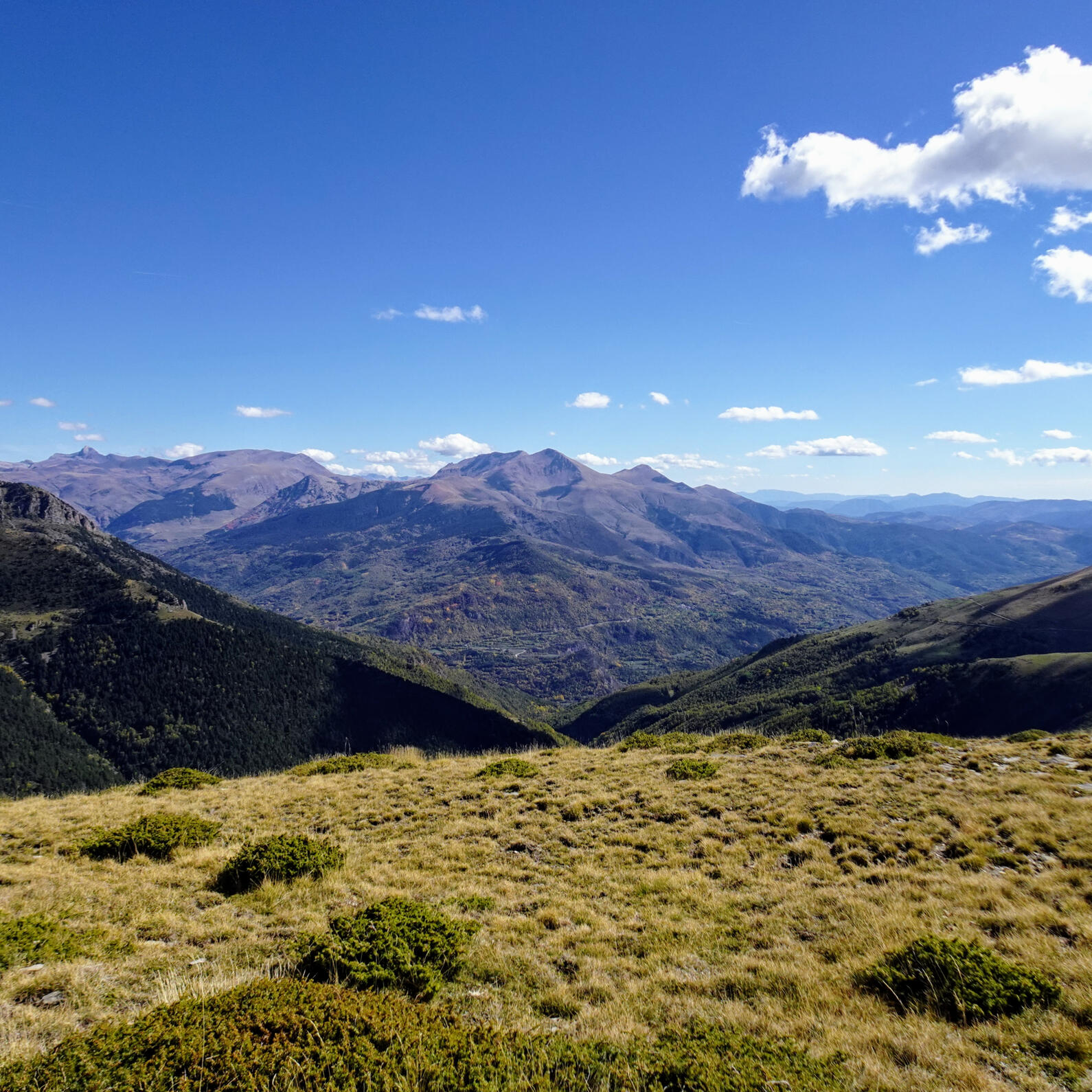 Conoce todos los detalles del Mountain Majestic Festival Tour. Información sobre alojamiento, transporte, actividades y más. Nos aseguramos de que cada aspecto de tu viaje esté perfectamente organizado para que puedas disfrutar al máximo de tu experiencia.